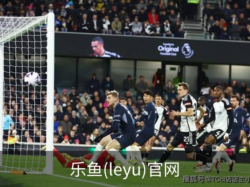 乐鱼(leyu)官网介绍